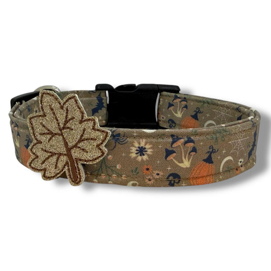 Cottagecore Halloween dog collar with rustic autumn florals, vintage-inspired design, and adjustable buckle for dogs.