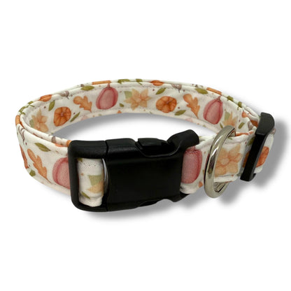 Fall dog collar with pumpkins, golden leaves, and autumn blooms in warm orange, peach, and earthy tones for seasonal style.