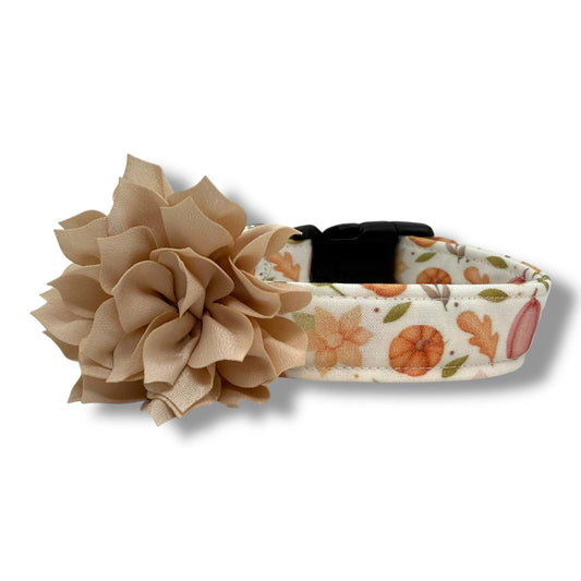 Fall dog collar with pumpkins, golden leaves, and autumn blooms in soft orange and earthy tones, includes removable champagne collar flower.