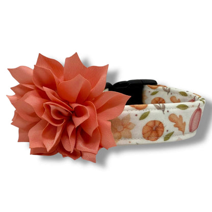 Fall dog collar with pumpkins, golden leaves, and autumn blooms in soft orange and earthy tones, includes removable petal peach collar flower.
