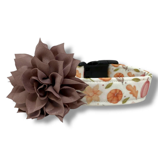 Fall dog collar with pumpkins, golden leaves, and autumn blooms in soft orange and earthy tones, includes removable taupe collar flower.