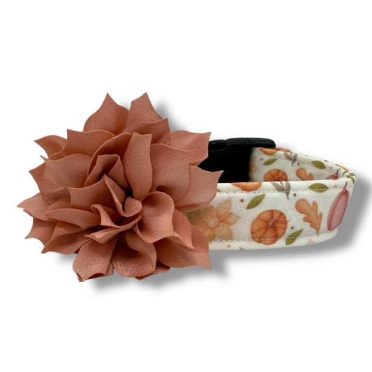 Fall dog collar with pumpkins, golden leaves, and autumn blooms in soft orange and earthy tones, includes removable dusty rose collar flower.