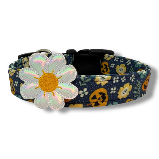 Jack O'lantern Dog Collar with Embellishment
