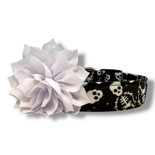 Black Halloween dog collar with playful skeletons and skulls, plus a removable white dog collar flower for festive fall walks and trick-or-treating.