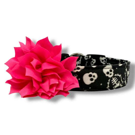 Black Halloween dog collar with playful skeletons and skulls, plus a removable hot pink dog collar flower for festive fall walks and trick-or-treating.
