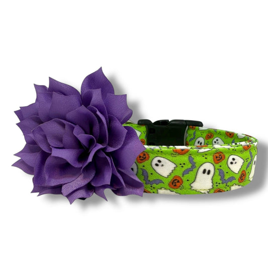 Bright green Halloween dog collar with ghosts, pumpkins, bats, and removable lavender flower embellishment in 3" or 4" size.