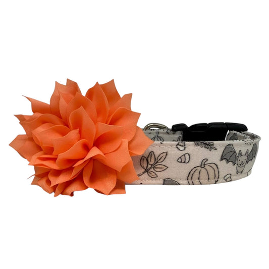 Halloween Dog Collar with Flower