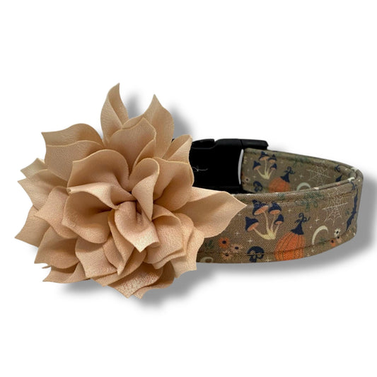 Cottagecore Halloween dog collar with rustic autumn florals, vintage-inspired design, and adjustable buckle for dogs and removable dog collar flower. 