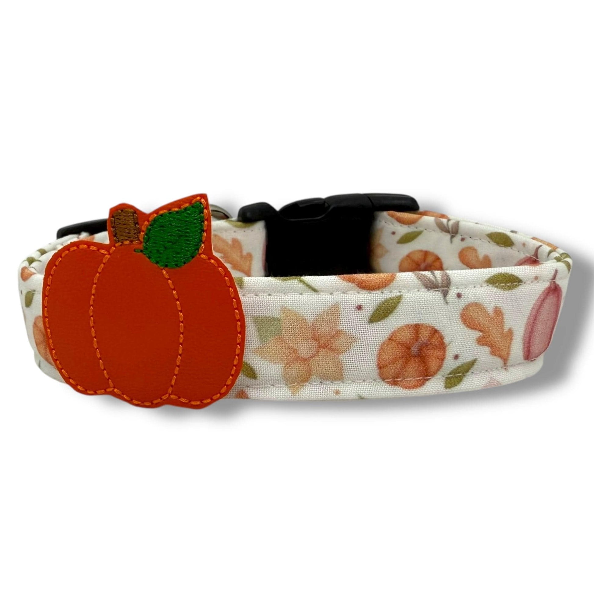 Fall dog collar with pumpkins, golden leaves, and autumn blooms in orange, peach, and earthy tones, includes removable pumpkin embellishment.