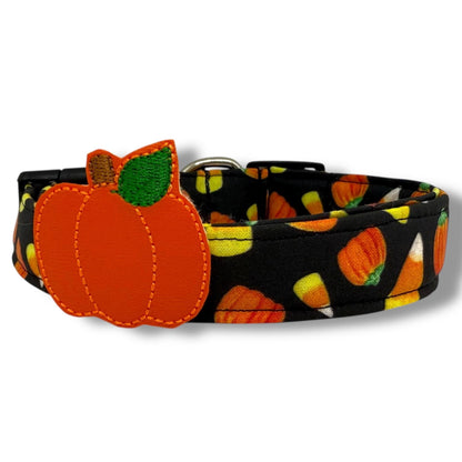 Halloween dog collar with candy corn and pumpkin pattern on black background, includes removable leather-like pumpkin embellishment.
