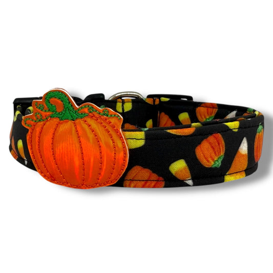 Halloween dog collar with candy corn and pumpkin pattern on black background, includes removable iridescent pumpkin embellishment.