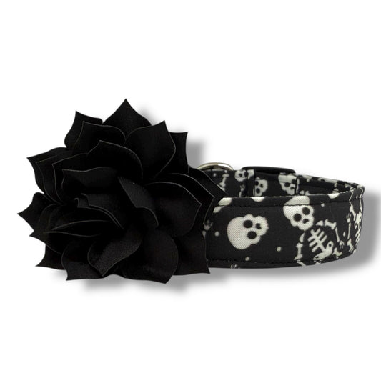 Black Halloween dog collar with playful skeletons and skulls, plus a removable black dog collar flower for festive fall walks and trick-or-treating.