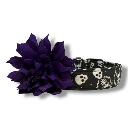 Black Halloween dog collar with playful skeletons and skulls, plus a removable purple dog collar flower for festive fall walks and trick-or-treating.