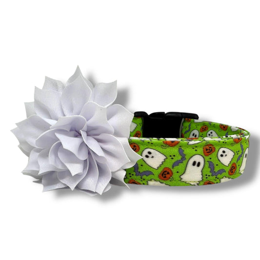 Bright green Halloween dog collar with ghosts, pumpkins, bats, and removable white flower embellishment in 3" or 4" size.
